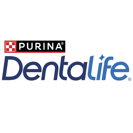 Dentalife