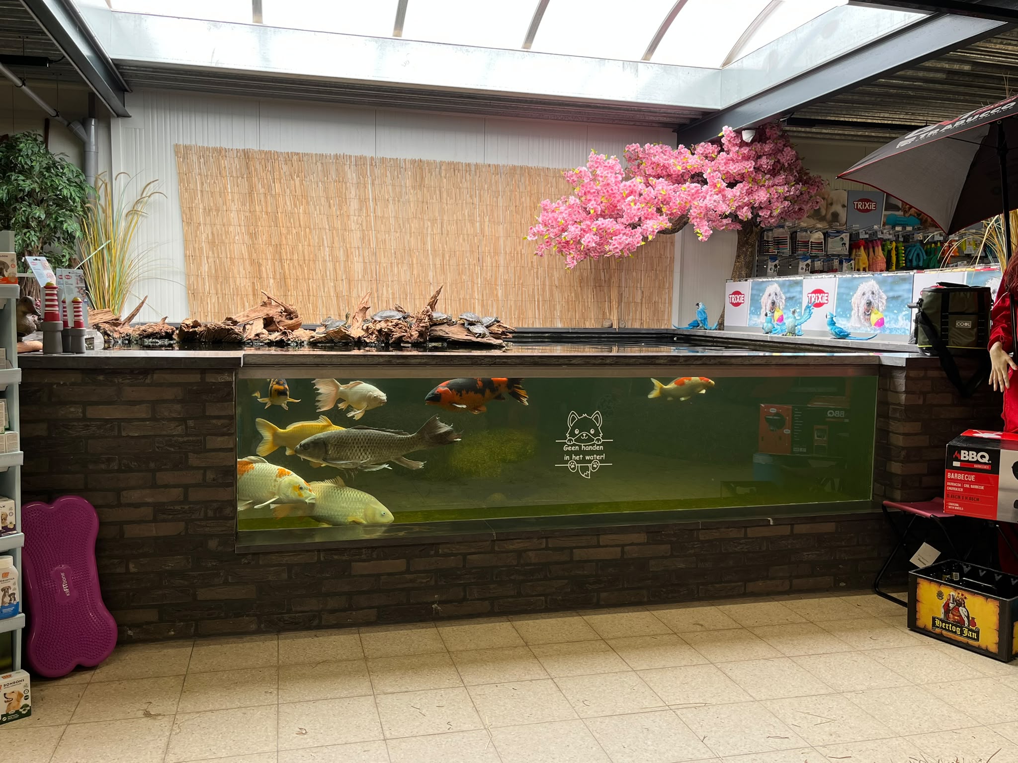 Vissen & Schildpadden